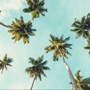 Meet your Posher, Chanse